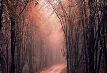 西班牙人连败连续，危险信号不容忽视