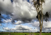 佛罗伦萨连迎两连胜，离保级更近一步