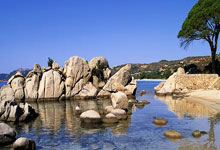 快船继续保持不败，哈雷尔成为MVP热门！